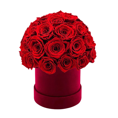 Eternal Roses in Velvet Box – Luxury Preserved Roses